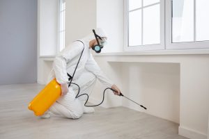 A person in protective gear uses a yellow spray tank for pest control treatment along the baseboards of a bright, empty room with large windows, ensuring effective home insect removal.