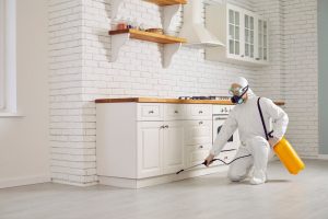 An exterminator in protective gear and a respirator kneels in a white kitchen, spraying pesticide from a yellow container beneath the cabinets. The kitchen, with its brick walls and wooden shelves filled with baskets and jars, is undergoing thorough home insect removal.