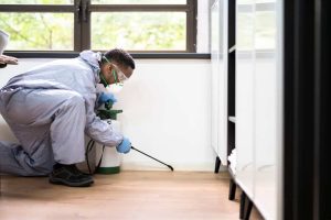 An exterminator in protective gear, including coveralls, gloves, goggles, and a mask, kneels on the wooden floor of a room with white cabinets. They expertly use a pesticide spray for home insect removal as light filters through a window in the background.