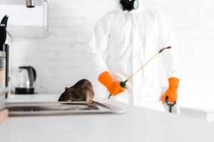 A person in protective gear and orange gloves, resembling a professional exterminator, holds a sprayer in the kitchen. In the foreground, a rat scurries across the countertop near the sink.