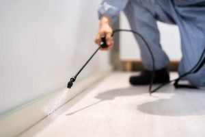 An exterminator in protective clothing sprays pesticide along the edge of a room with a spray wand, concentrating on the baseboard. The light-colored floor and pale wall contrast sharply with the dark equipment and attire, ensuring thorough pest control.