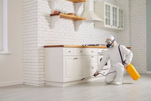 A person in protective gear and a mask, resembling a professional exterminator, is kneeling while spraying pesticide in a white kitchen. They are holding a yellow container and focusing on the area beneath the cabinets. The kitchen features a brick wall, white cabinets, and wooden countertops.