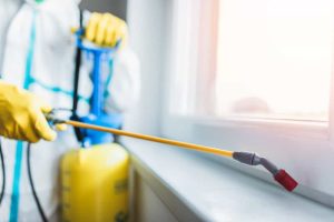 A person in protective gear uses a long yellow spray nozzle to apply pest control chemicals near a window. They wear a white suit, yellow gloves, and carry a blue tank. Sunlight filters through the window, highlighting the meticulous bed bug removal process.